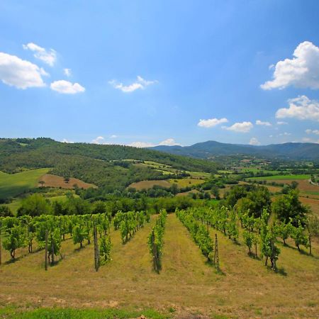 Holiday Home Montebello By Interhome Monterchi Екстериор снимка